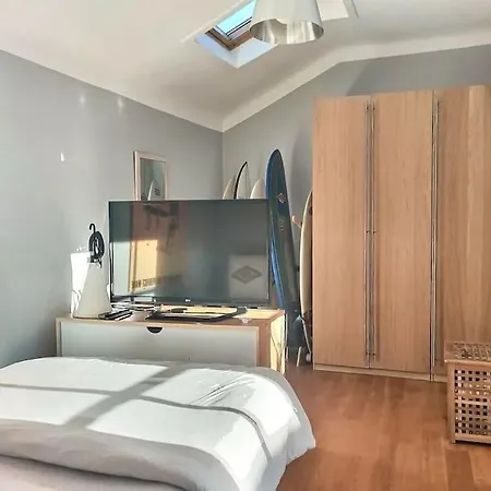 Canopee Centre * 比亚里茨